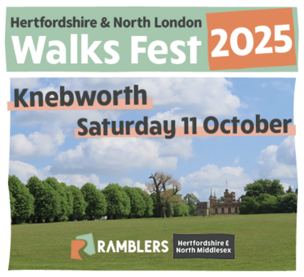 Area Walks Fest poster